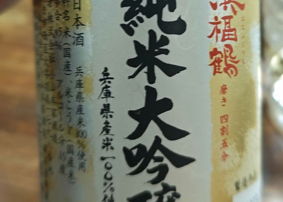 alt 1