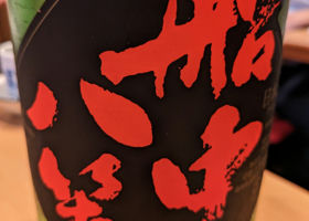 alt 1