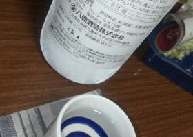 alt 3