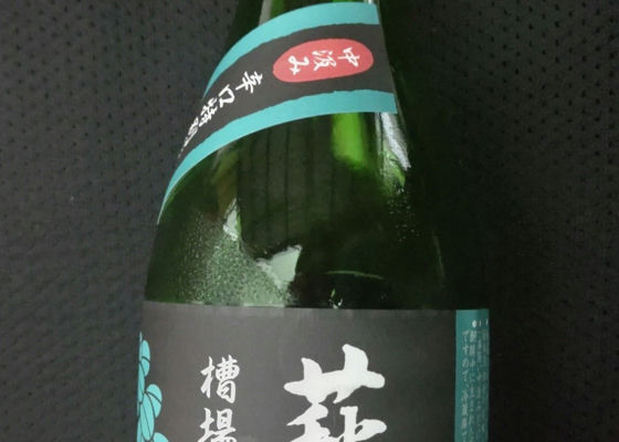 alt 1