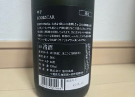 alt 1