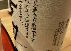 alt 3
