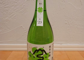 alt 3