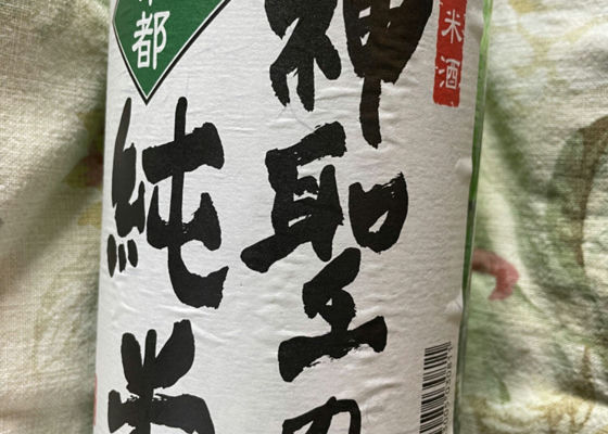 alt 1