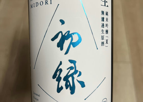 alt 1