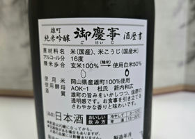 alt 3
