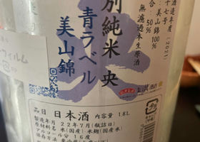 alt 3