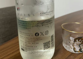 alt 2