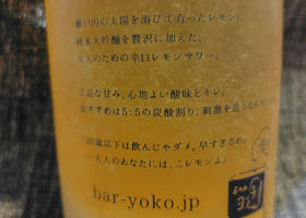 alt 3