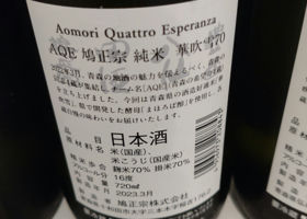 alt 3