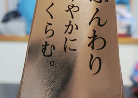 alt 3