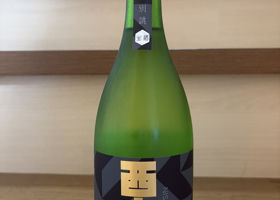 alt 1