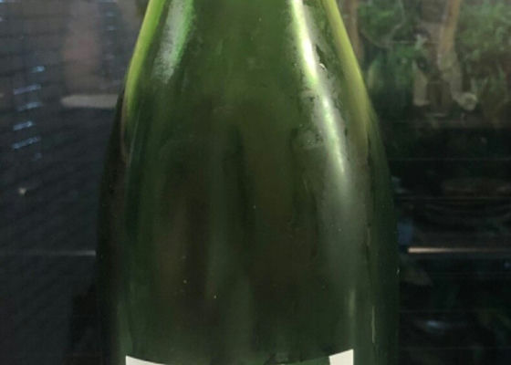 alt 1