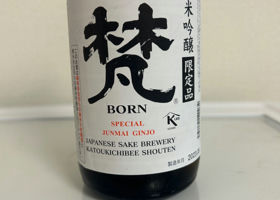 Born 签到 1