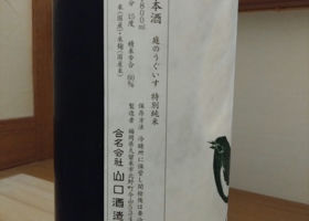 alt 2