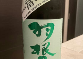 alt 1