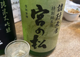 alt 1