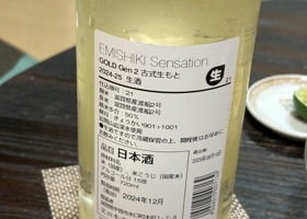 alt 3