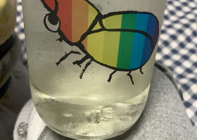 alt 1