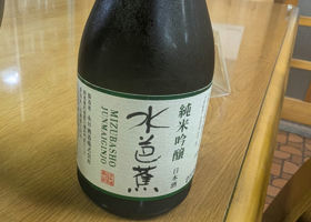 alt 1