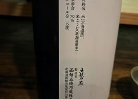 alt 3