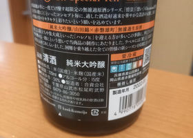 alt 3