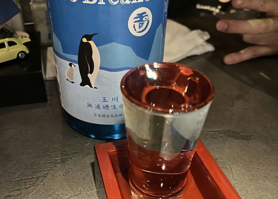 alt 1