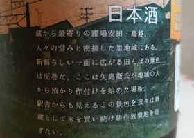 alt 3
