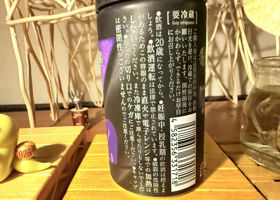 alt 3
