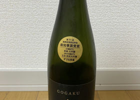 alt 1
