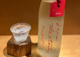 alt 1