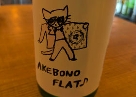 alt 3