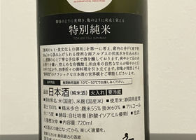 alt 3
