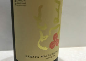 Sawayamatsumoto Check-in 3