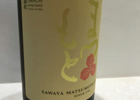 Sawayamatsumoto 签到 3