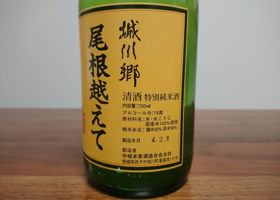 alt 3