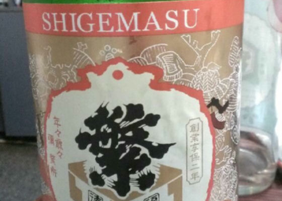 Shigemasu Check-in 1