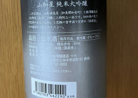 alt 2