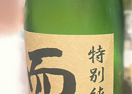 alt 1