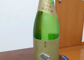 alt 1