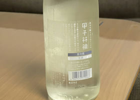 alt 2
