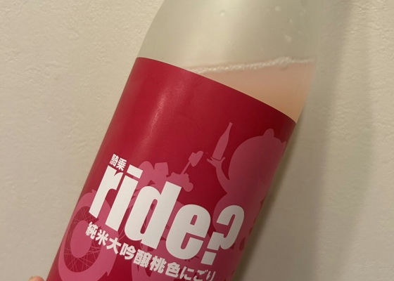 alt 1