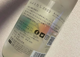 alt 2