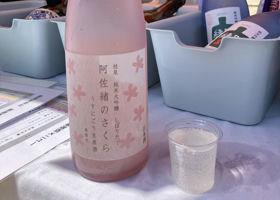 alt 1
