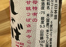 alt 2
