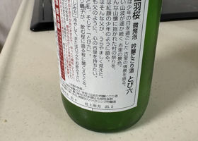 alt 3