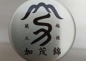 alt 4