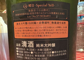 alt 4
