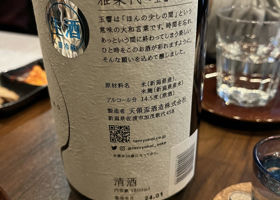 alt 3