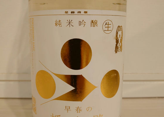 alt 1